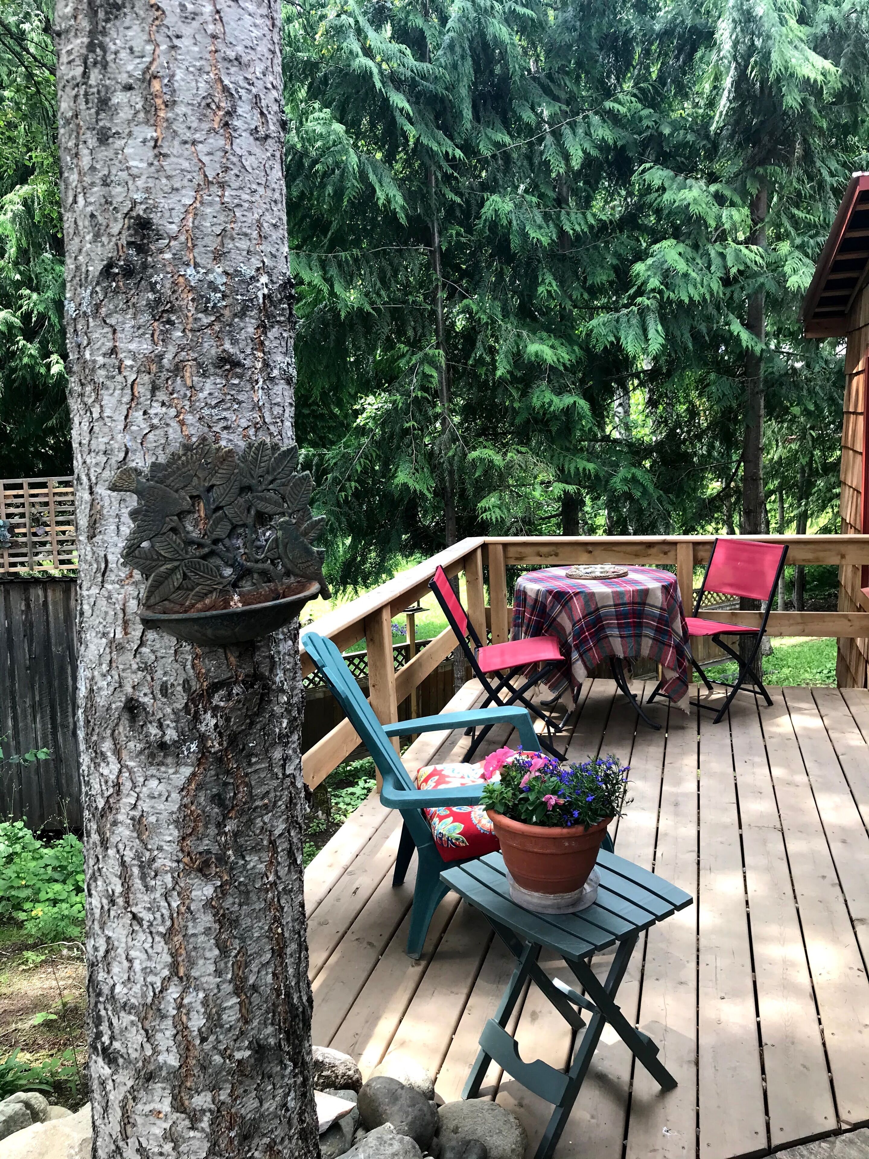 Ristorazione all'aperto