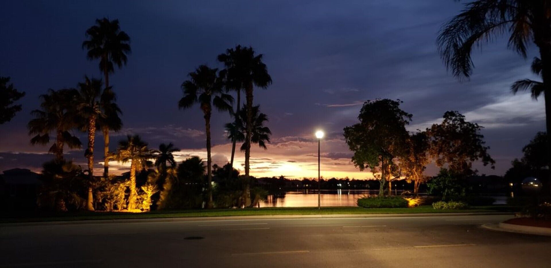 A nighttime view of a road with palm trees and a bridge in the background.