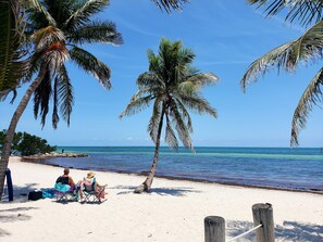 A beach scene with palm trees, clear blue sky, and calm sea. - Ocean Vacation Breeze Your best vacation spot only 1 mile to the Beach. (Lantana)