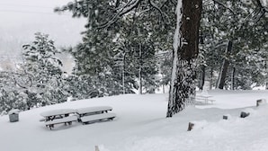 Una mesa de picnic y bancos cubiertos de nieve en un parque con árboles.