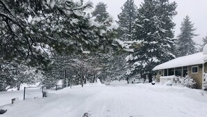 Una calle residencial cubierta de nieve, con casas a ambos lados.