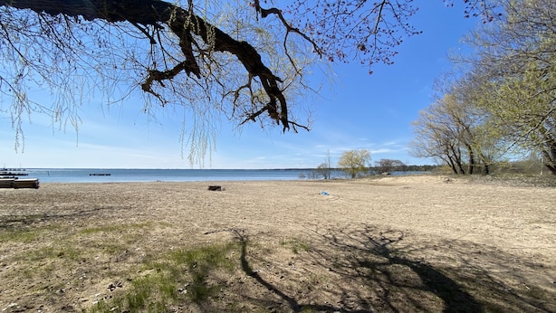 Une plage à la végétation clairsemée, sous un ciel dégagé.