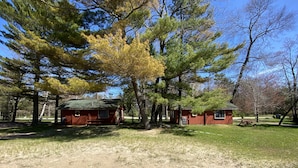 Un chalet rustique avec un toit végétalisé, entouré d’arbres et sous un ciel dégagé.