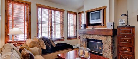 TV, fireplace, DVD player