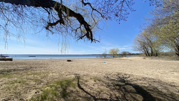 A beach with sparse vegetation and a clear sky. - (Birch Cabin) Waterfront 2 Bed 1 Bath Cottage - Pets OK (East Tawas)