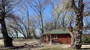A rustic cabin with a green roof, surrounded by trees and a sandy ground. - (Birch Cabin) Waterfront 2 Bed 1 Bath Cottage - Pets OK (East Tawas)