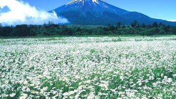 Vista para a região
