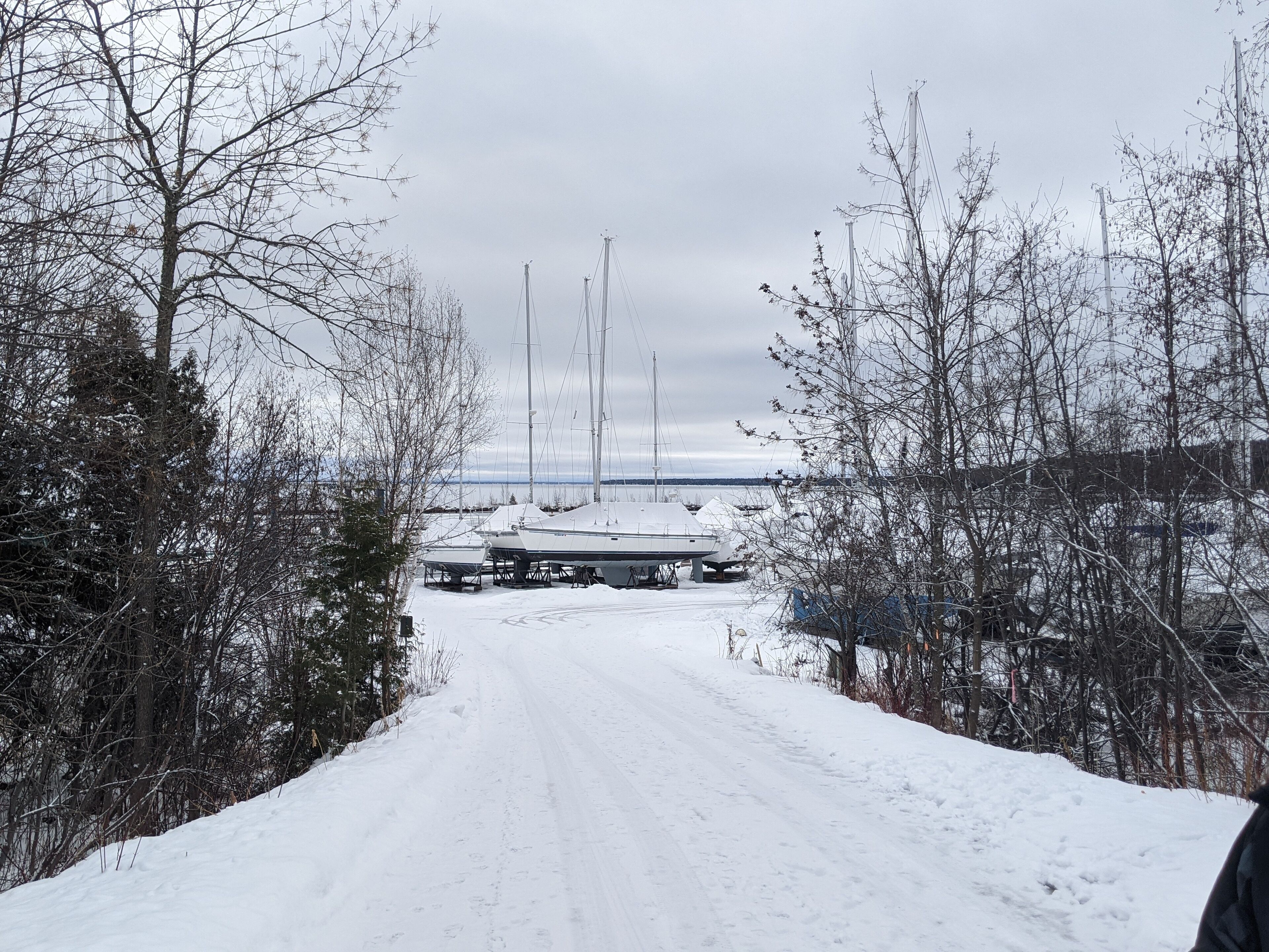 Un sendero cubierto de nieve que lleva a una marina con barcos amarrados.