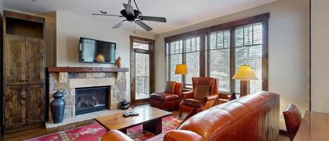 TV, fireplace, DVD player