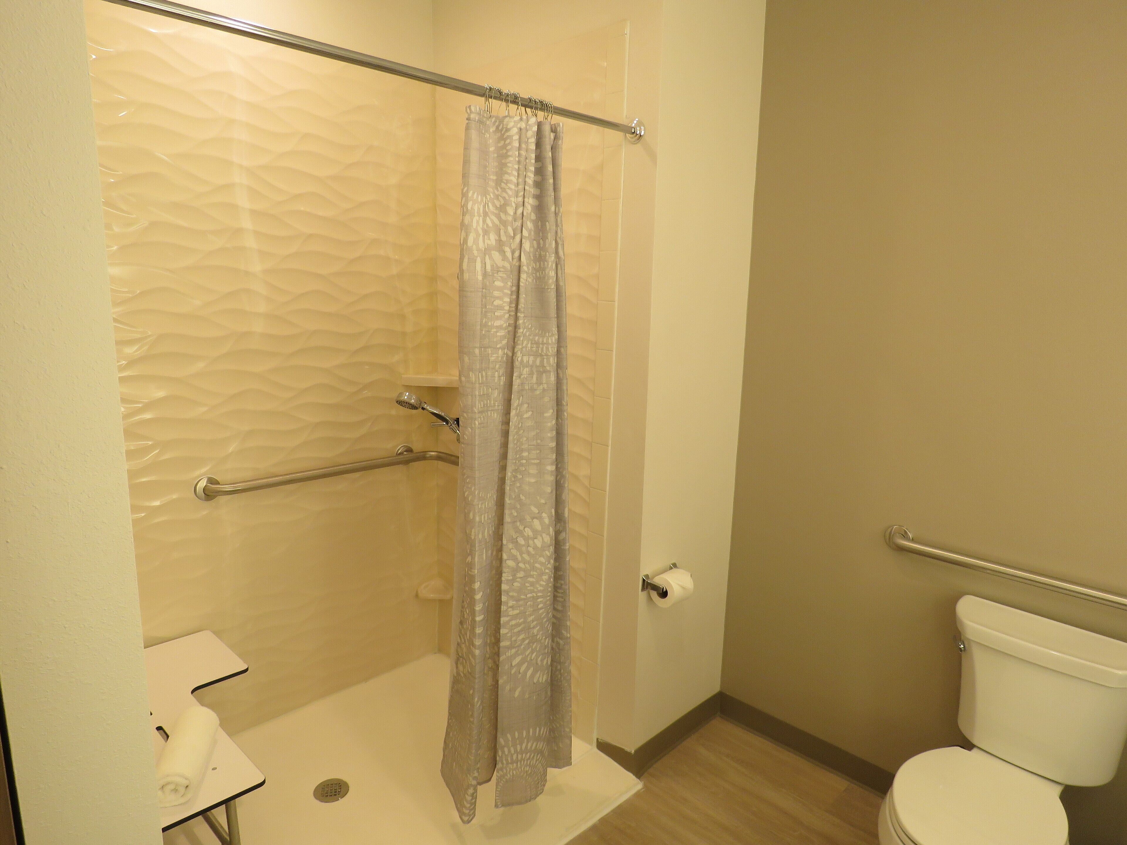 room, 1 king bed, accessible, non smoking (mobility) | bathroom | shower, hydromassage showerhead, designer toiletries, hair dryer