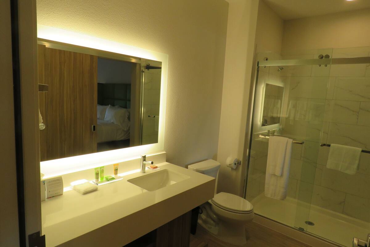 suite, 1 king bed, non smoking | bathroom | shower, hydromassage showerhead, designer toiletries, hair dryer
