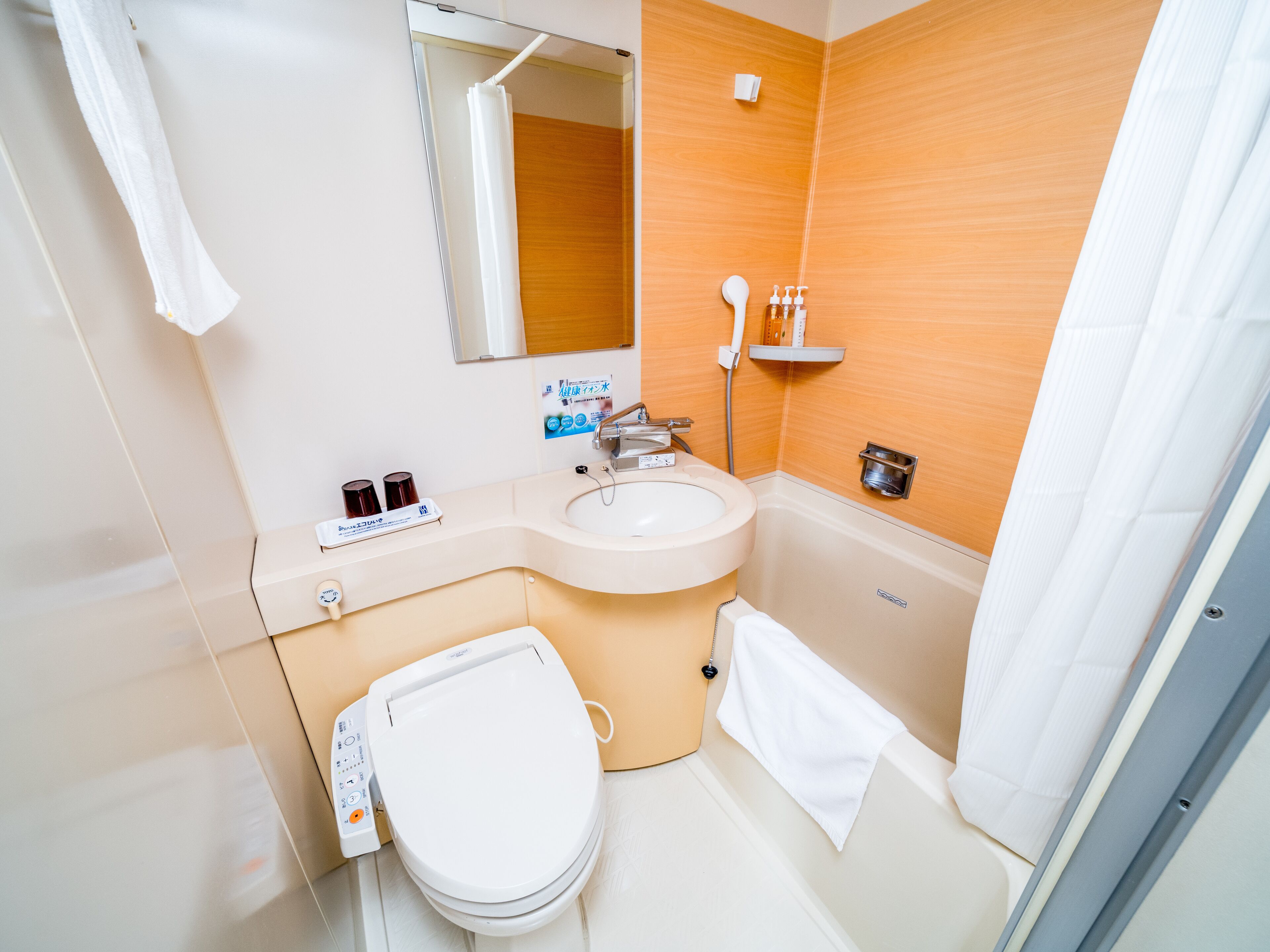 combined shower/bathtub, deep-soaking bathtub, hair dryer, slippers