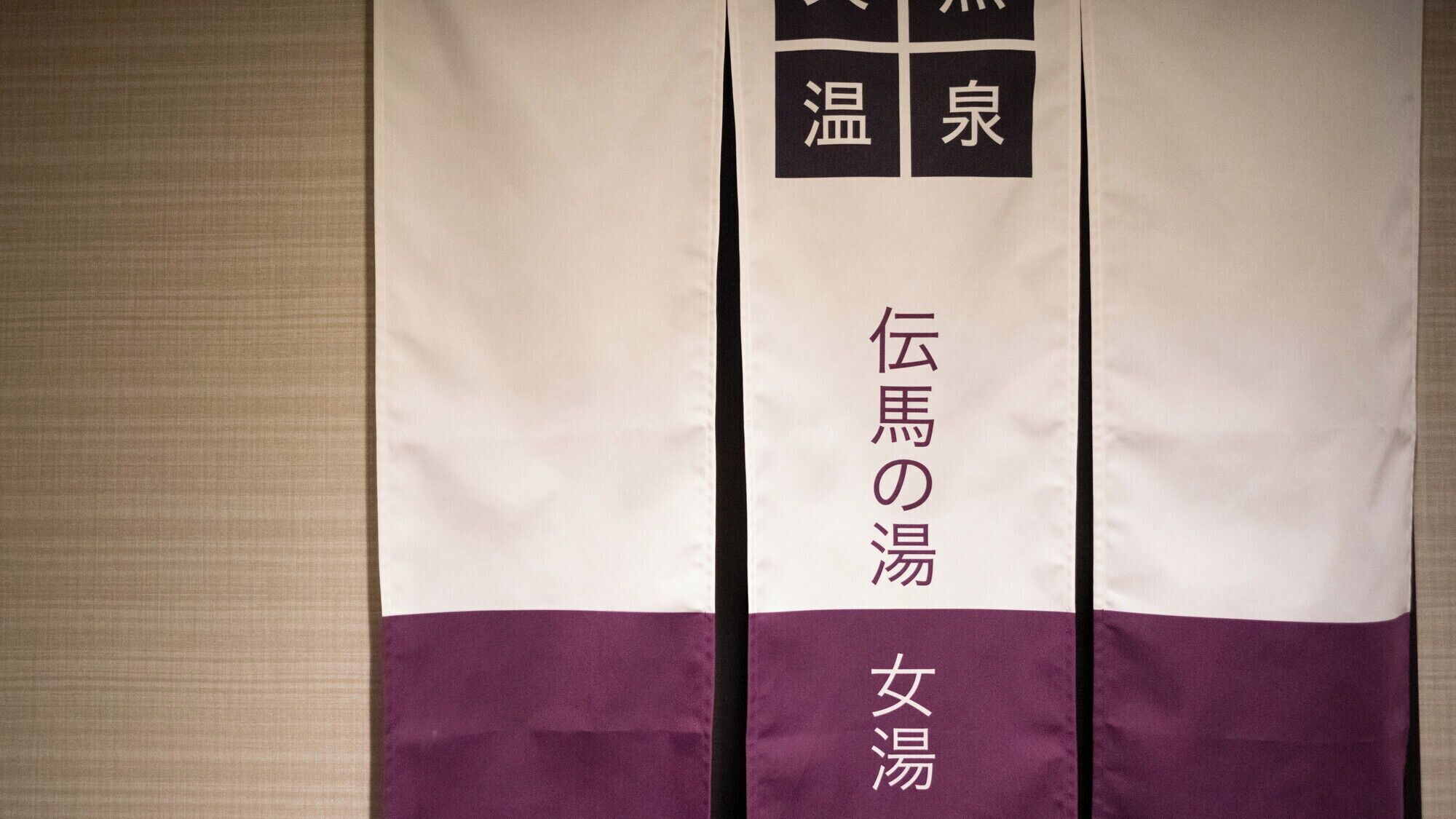 A fabric with Japanese characters and a color block design.
