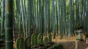 A serene bamboo forest with stone statues and a traditional stone lantern.