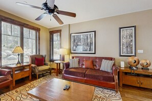 TV, fireplace, DVD player