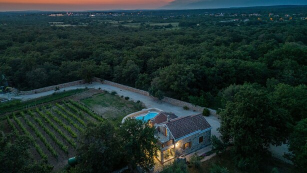 Une maison en pierre avec une piscine, entourée d’un vignoble et d’une forêt dense.