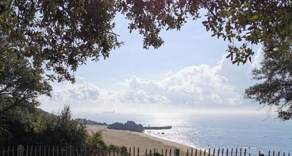 2-bedroom apartment with terrace, direct access to Mr Hulot beach