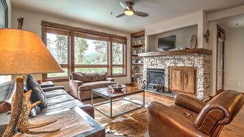 Televisión, chimenea, reproductor de DVD y tenis de mesa