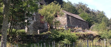 Extérieur
