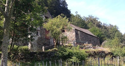 MOUNTAIN SHEEPFOLD