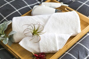 Servizio della camera