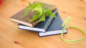 Un montón de libros con una planta verde encima, sobre una superficie de madera.