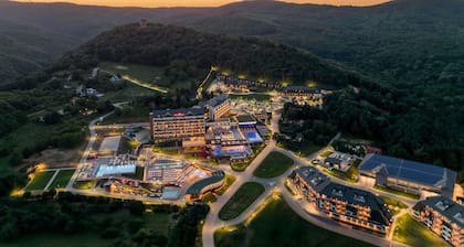 Mövenpick Resort and Spa Fruske Terme