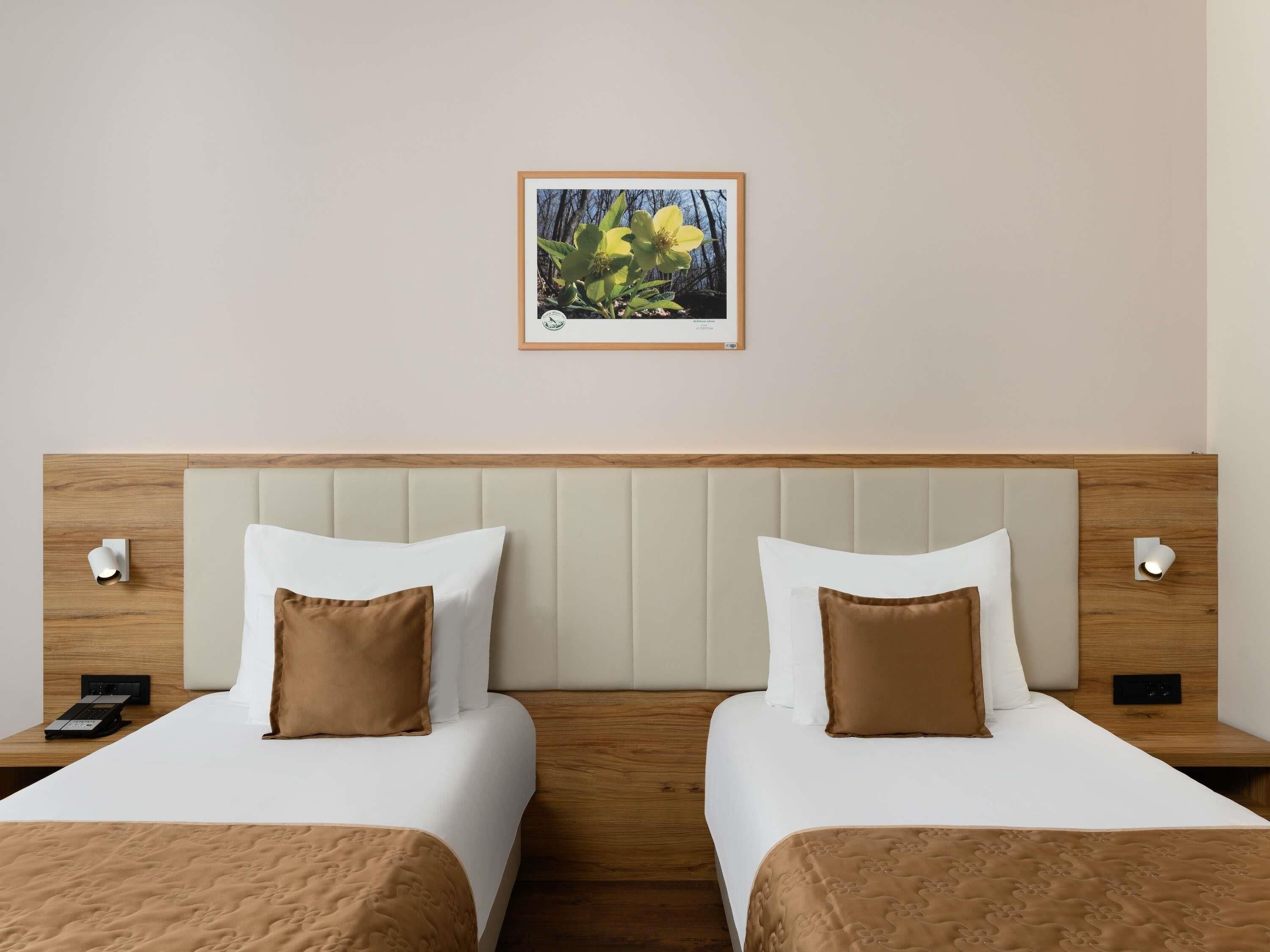 Draps en coton égyptien, literie de qualité supérieure