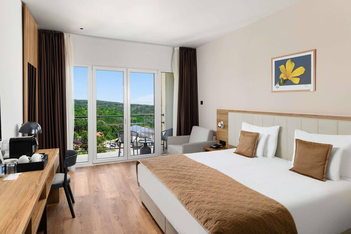 A hotel room with a bed, a desk, a chair, a nightstand, and a view of the outdoors.
