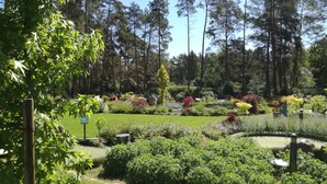 A well-maintained garden with various plants, a pond, and tall trees in the background.