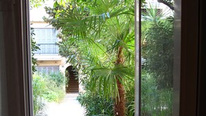 Vista attraverso una porta di vetro su un cortile con una palma, un vaso in cemento e un edificio sullo sfondo.