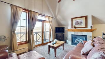 TV, fireplace, DVD player