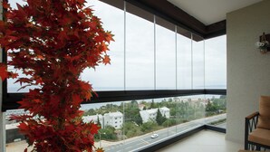 A balcony with a view of a road and buildings, a chair, and a potted plant with red leaves.