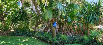 Beach House - Authentic Lennox Beachfront Shack