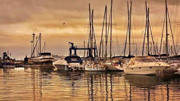 Un port de plaisance où sont amarrés de nombreux voiliers.
