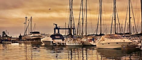 Marina