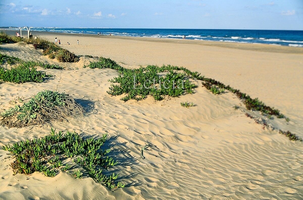 Plage