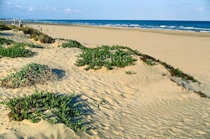 Accommodatie ligt op het strand