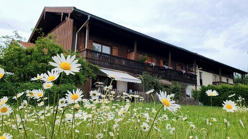 Vacation apartment 7, 43 sqm, spacious studio on the top floor with loggia