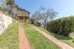 Property grounds - La Maggioletta (Massarosa)
