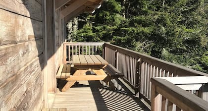 Chalet neuf, spa, sauna, terrasses Sud