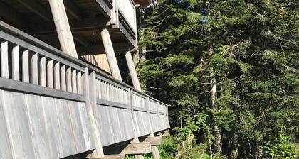 Chalet neuf, spa, sauna, terrasses Sud