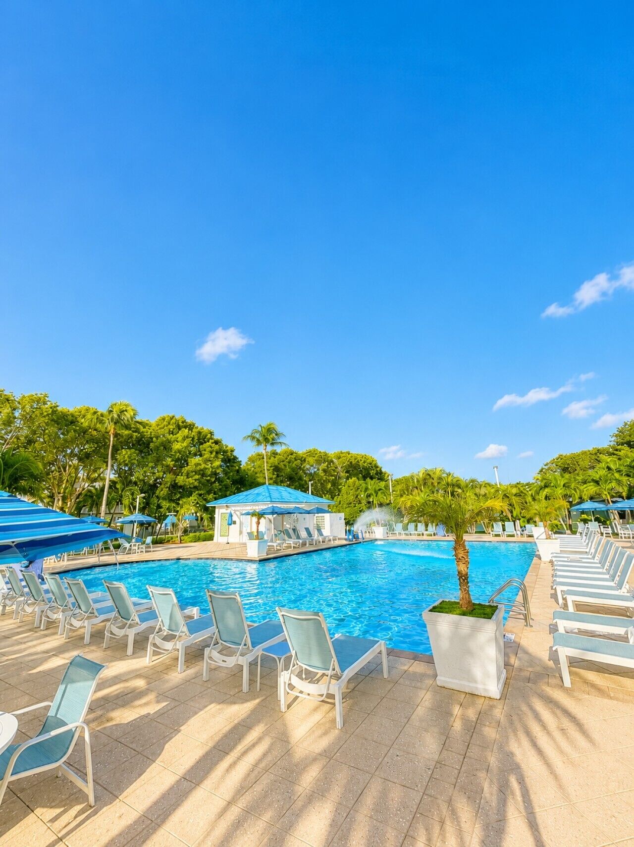 A pool area with lounge chairs and umbrellas, surrounded by palm trees.