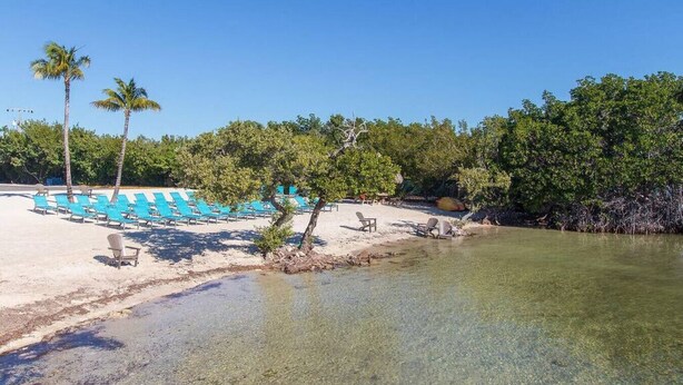 A beach with clear shallow waters, a row of blue lounge chairs, and palm trees. - Dbl Master |Oceanview |Jacuzzi |Beach |Marina |BBQ (Tavernier)