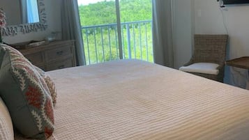 1 bedroom, desk, iron/ironing board, travel crib