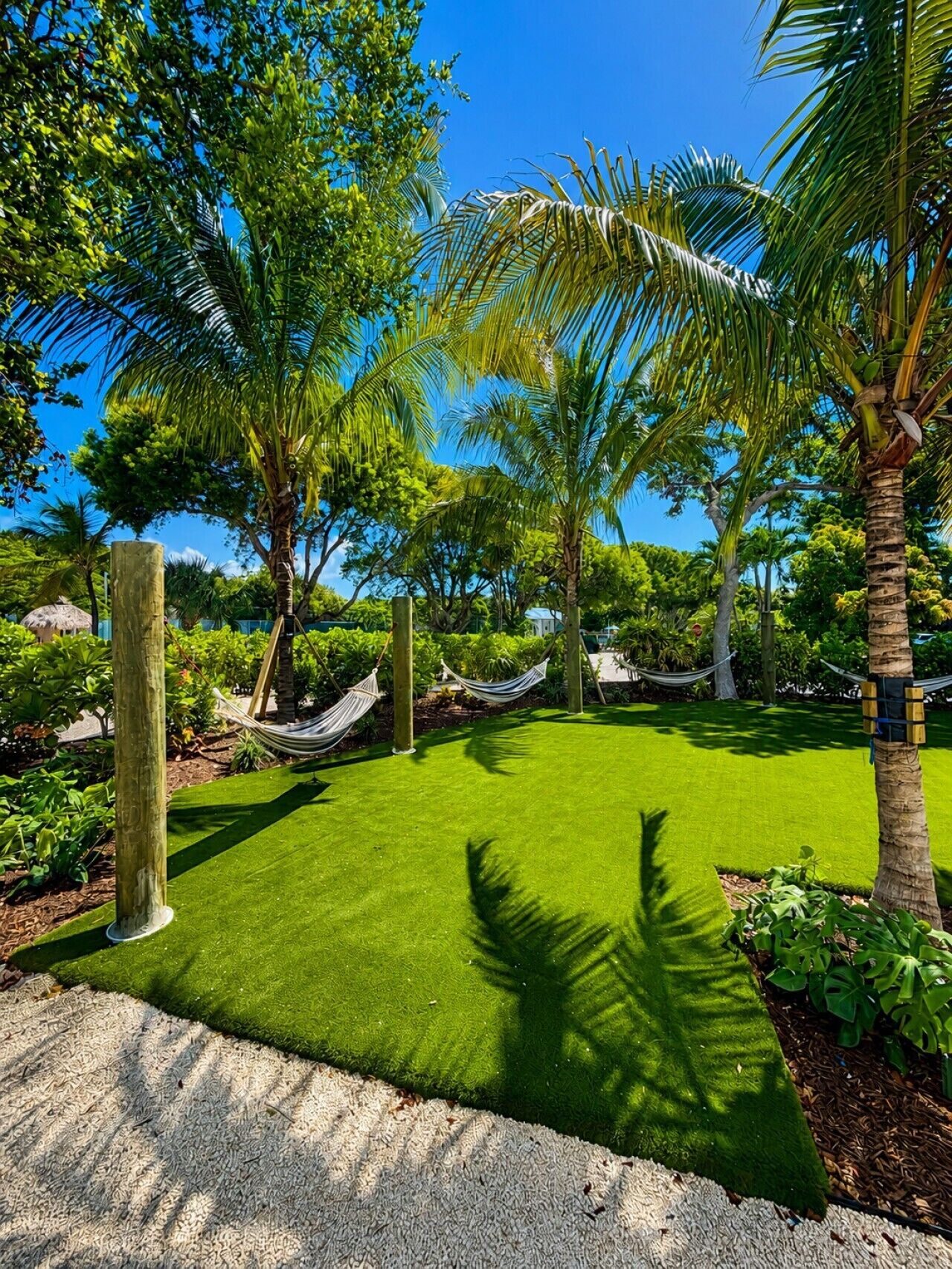A well-maintained lawn with a hammock, palm trees, and a clear blue sky.