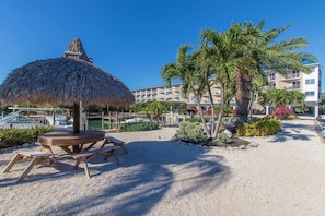 Un complexe hôtelier situé en bord de mer, doté de parasols en chaume, de palmiers et d’un espace piscine.