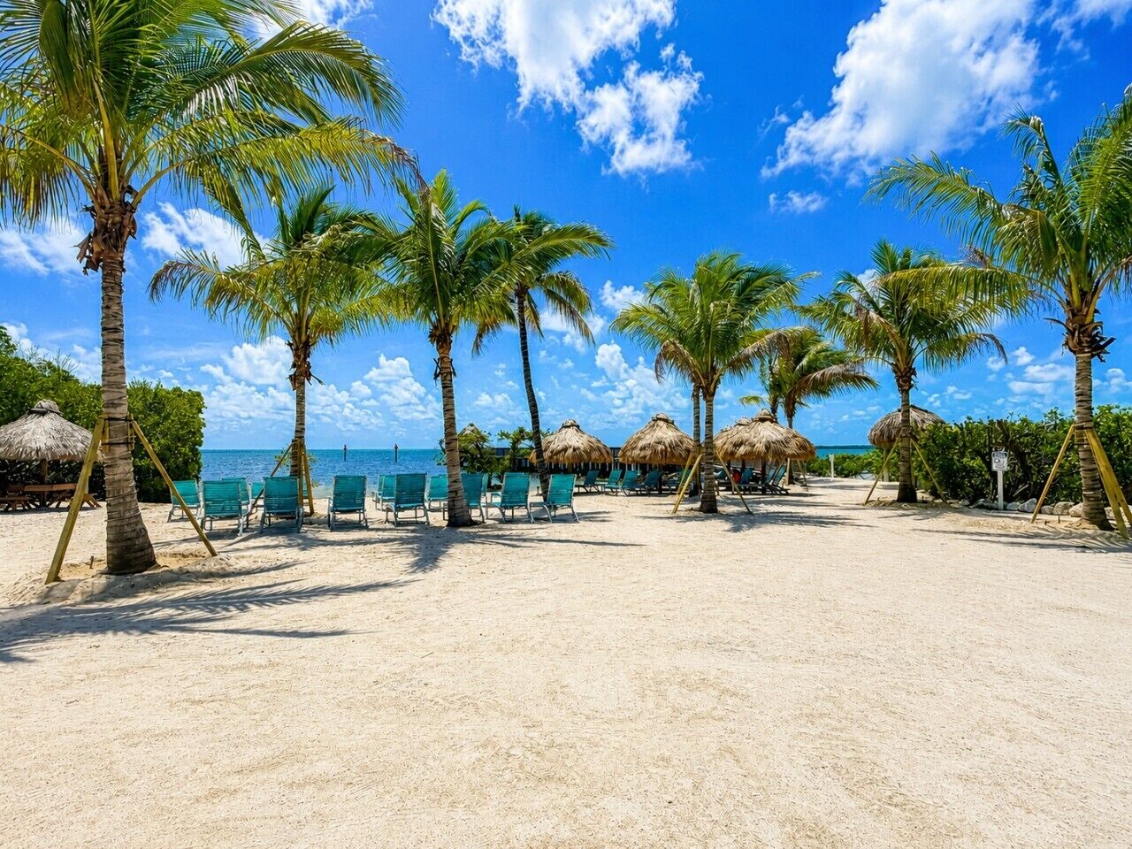 Uma praia com palmeiras, guarda-sóis de palha e cadeiras de praia.