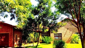 Garden - Ankuweni Guest Lodge (Giyani)