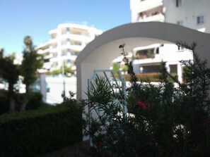 واجهة المنشأة